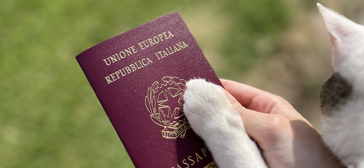 Pata de gato sobre pasaporte italino